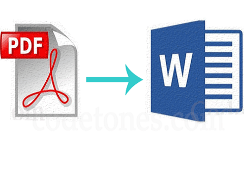 Convert PDFs into Microsoft Word